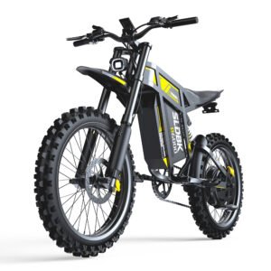 FVKING&SLDBK R6000 Electric Bike